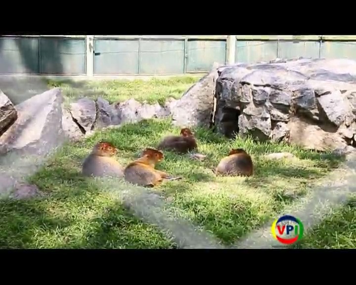 Programa 4 - 10/10/2014